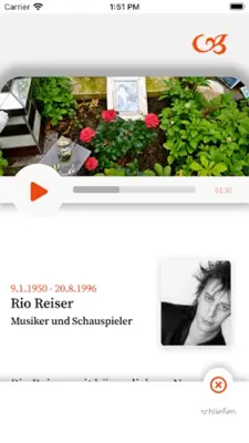 Wo sie ruhen android App screenshot 1